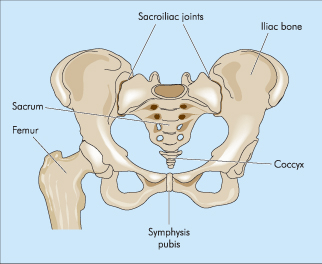 Pelvic Dysfunction